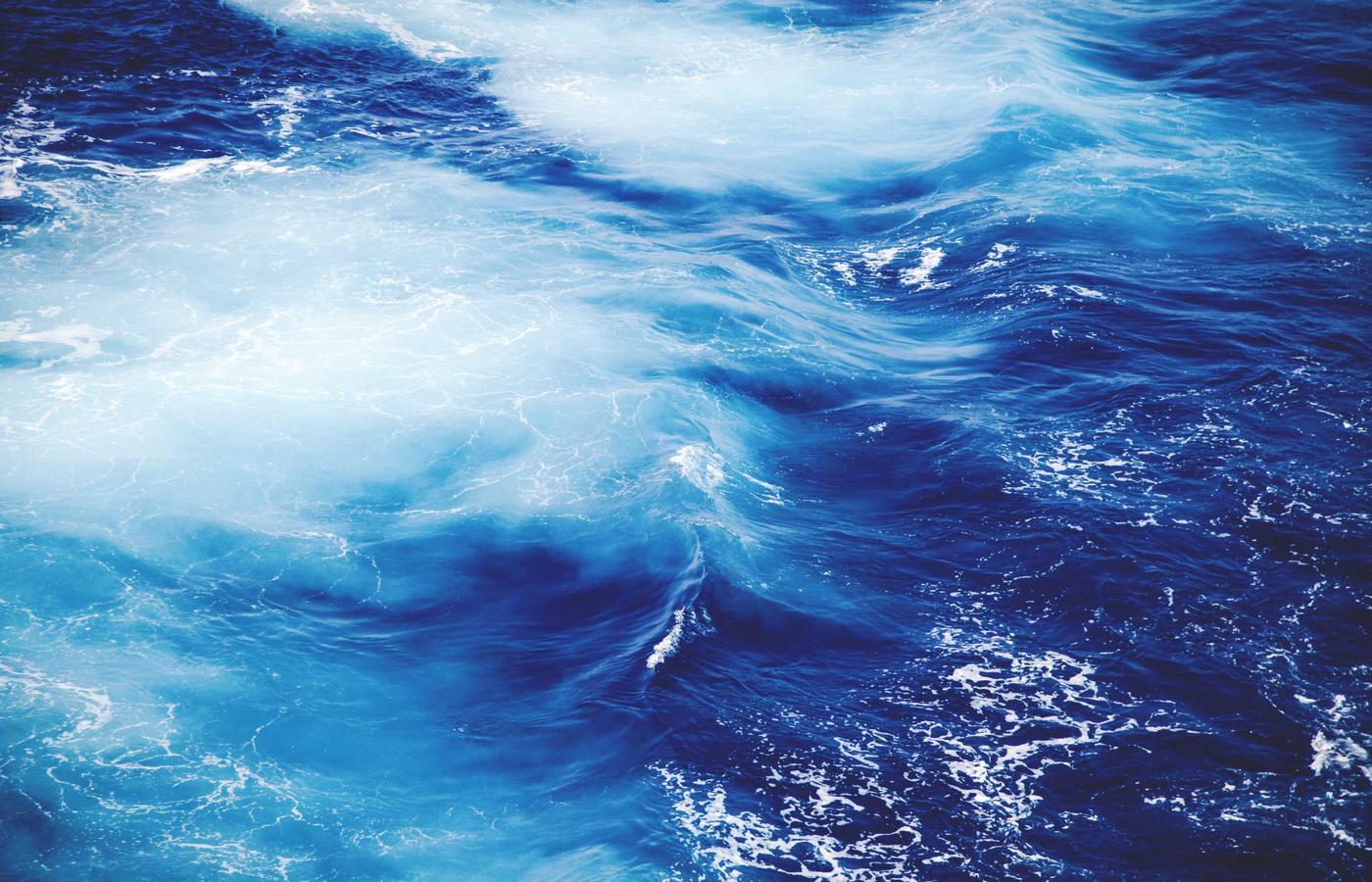 Фото члена команды