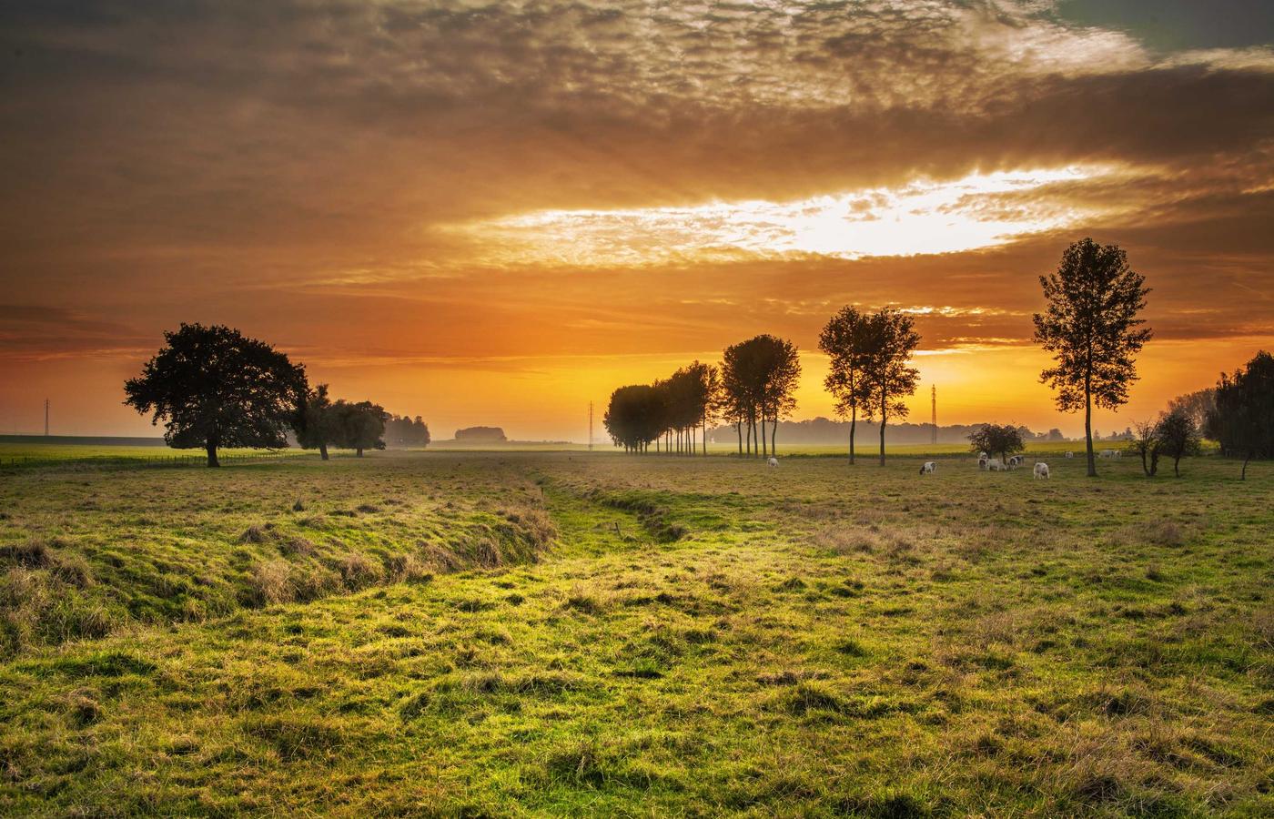 Фото клиента